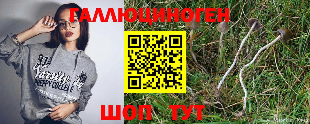 Галлюциногенные грибы мицелий  Вход с VPN  купить наркотик  Котлас 